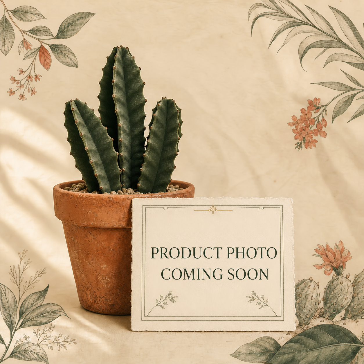 Product photo coming soon for Syrian Rue Seeds (Peganum harmala) (Qty 100)